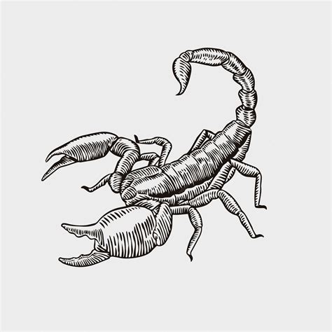 The Bold Transformation Ignited by a Fearless Scorpion Ink 