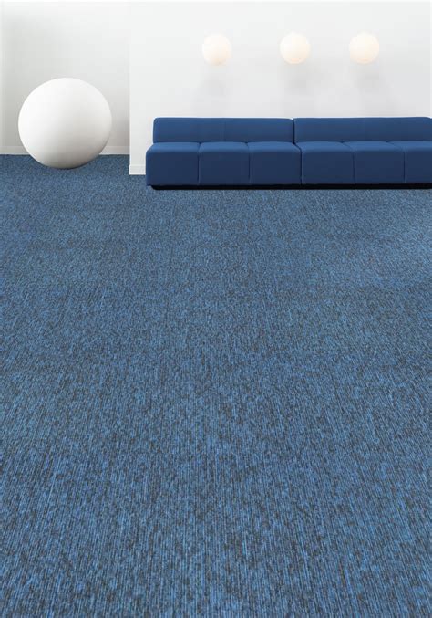 The Care and Maintenance of Azure Carpets