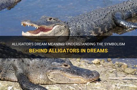 The Complexity of Symbolism in Dreaming about Enormous Alligators