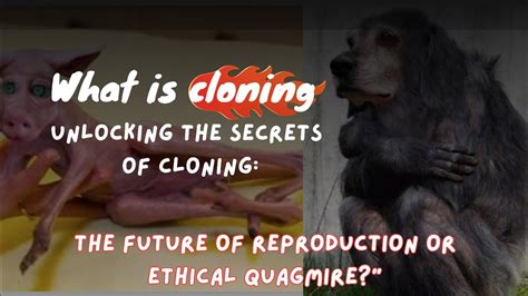 The Concept of Cloning: Embracing the Science Behind Replication