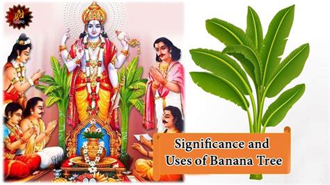 The Connection Between Bananas and Hindu Deities