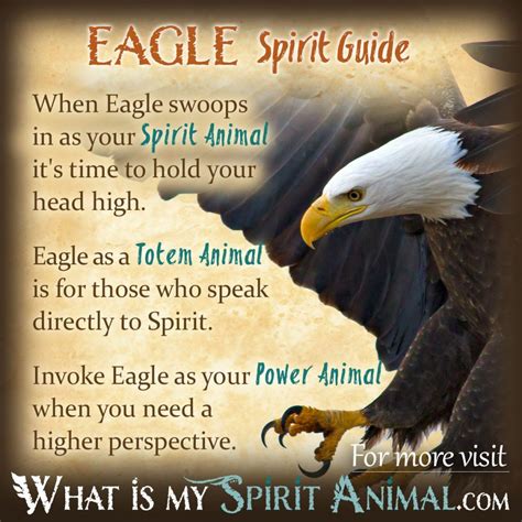 The Connection Between Eagles and Spirituality