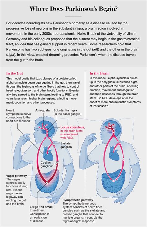 The Connection between Dreams Involving Bows and Matters of the Heart