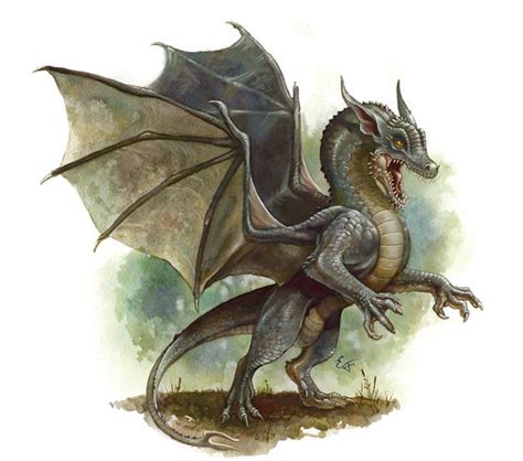 The Connection between Human Beings and Enigmatic Gray Dragons