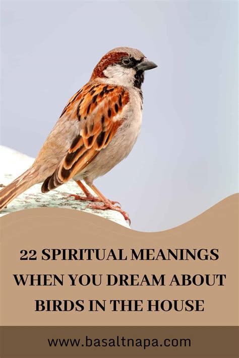 The Connection between Plump Birds and Abundance in Dream Interpretation