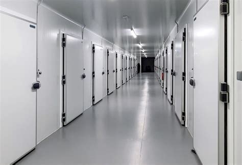 The Cool Connection: Cold Rooms in the Food and Beverage Industry