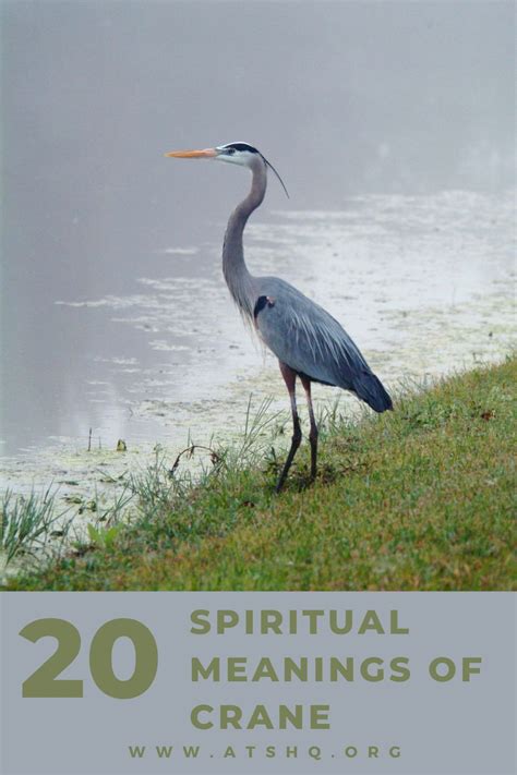 The Crane as a Spirit Guide: Decoding its Messages and Embracing its Wisdom