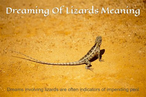 The Cryptic Symbolism of Lizard Dreams: An Insight into the Subconscious