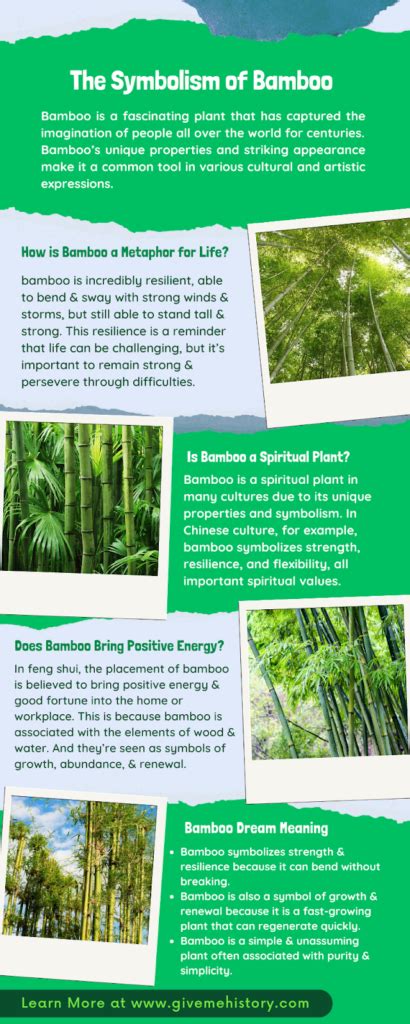 The Cultural Significance of Bamboo in Dreams