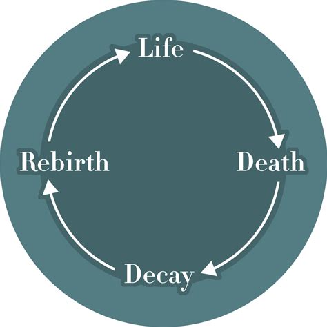 The Cycle of Life: Birth, Death, and Rebirth