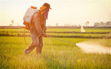 The Dark Side of Modern Agriculture: Industrial Chemicals in Food