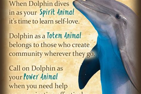 The Dark Significance of Dreams Involving the Demise of Dolphins