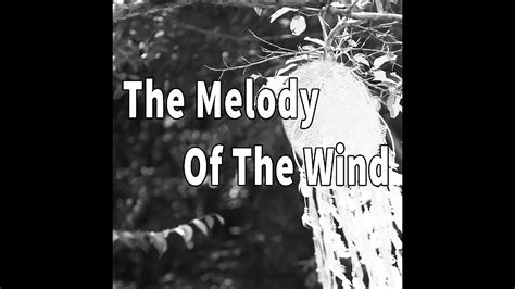 The Delightful Melody of the Wind