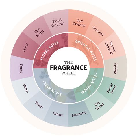 The Different Varieties and Fragrances of Aromatic Sticks