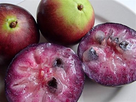 The Distinctive Look and Taste of Star Apple