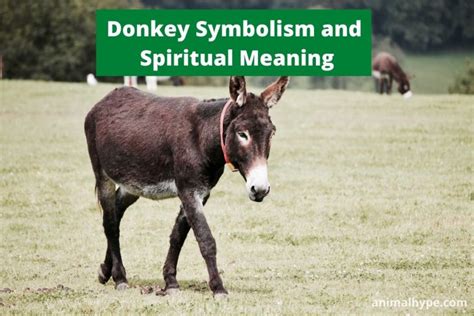 The Donkey as a Symbol of Determination and Perseverance