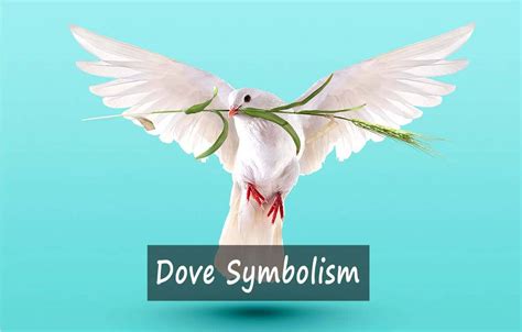 The Dove as a Significant Symbol Throughout History