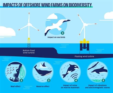 The Ecological Consequences of Underwater Motoring