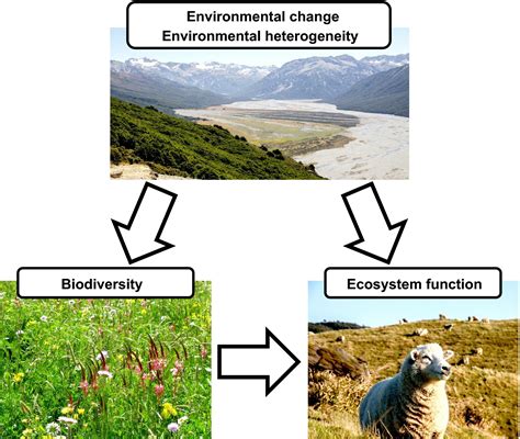 The Ecological Impact of Hypothetical Enormous Animals on Our Ecosystems