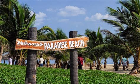 The Elements of Paradise: What Makes a Beach Truly Ideal?