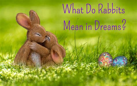 The Emotional Bonds with Infant Bunnies in Dreams