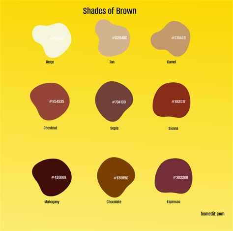 The Emotional Impact of Brown: Warmth, Stability, and Earthiness