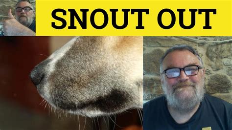 The Emotional Significance of Being Pecked on the Snout