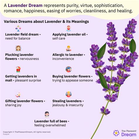 The Emotional Significance of Dreams About the Enchanting Lavender Blossom