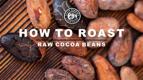 The Enchanting Alchemy of Cocoa Bean Roasting: Transmuting Astringent Seeds into Luscious Creations