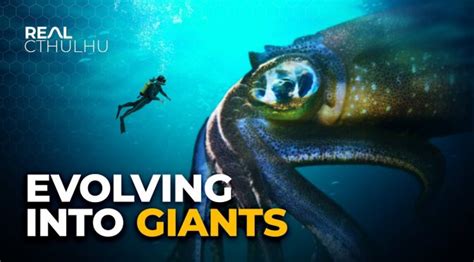 The Enchanting Beauty and Enigmatic Nature of Giant Ocean Beings