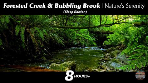 The Enchanting Influence of Nature: Discovering Serenity in a Majestic Babbling Brook