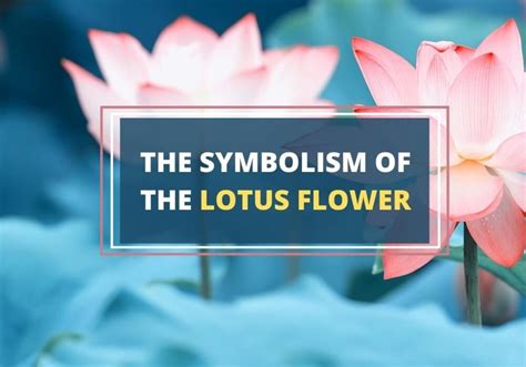 The Enchanting Symbolism of Sacred Lotus Blossoms in Ancient Legends