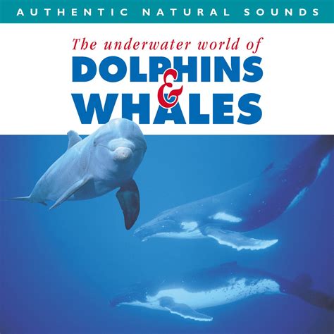 The Enchanting World of Dolphins and Whales