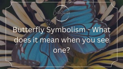 The Enchantment of Butterfly Symbolism in Films