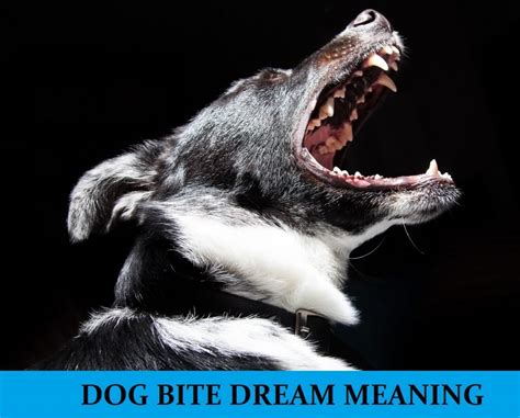 The Enigma of Having a Dream about a Canine Nipping Your Achilles