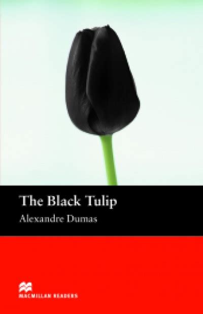 The Enigma of the Black Tulip’s Origins