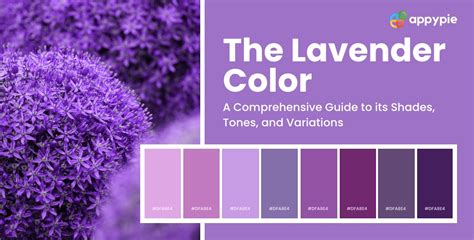 The Enigmatic Allure of the Color Lavender