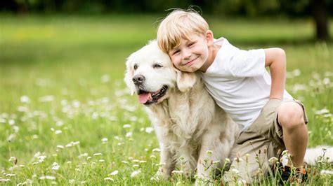 The Enigmatic Bond between Canines and Humans