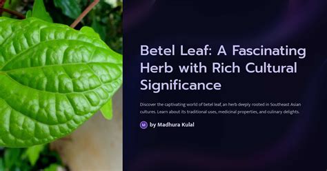 The Enigmatic Journey of Betel Leaf: Unveiling Its Fascinating Past