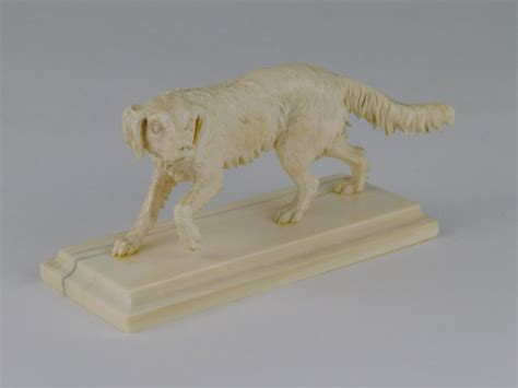 The Enigmatic Presence of the Ivory Canine