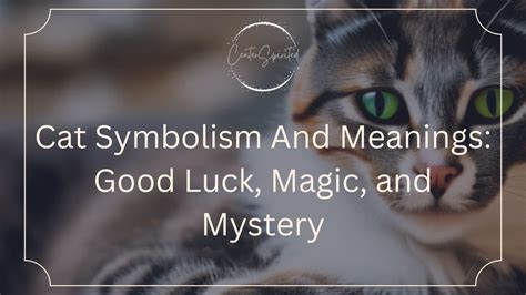 The Enigmatic Realm of Feline Symbolism