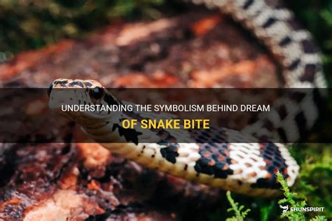 The Enigmatic Significance Behind Dreaming of a Serpent