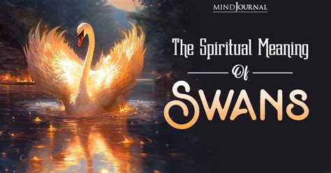 The Enigmatic Swan: Unveiling Its Mystical Symbolism