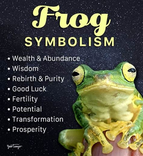 The Enigmatic Symbolism of Encountering a Frog in Your Broth