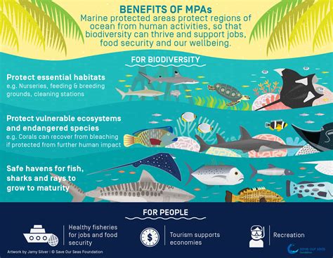 The Environmental Impact: Protecting Marine Life