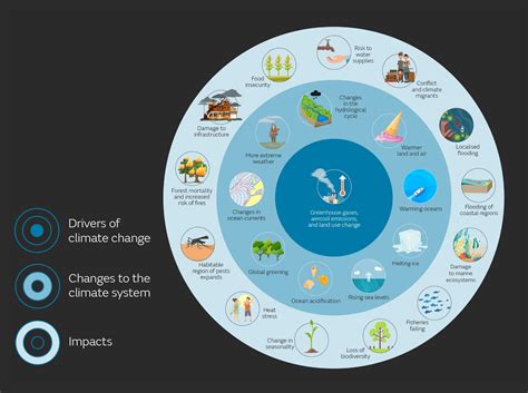 The Environmental Impact: Understanding the Consequences