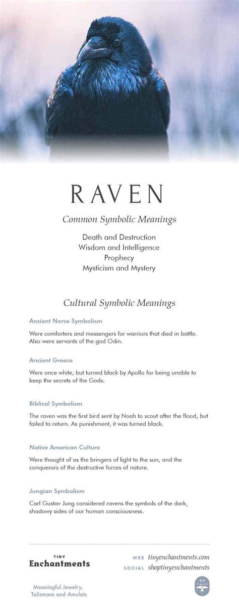 The Essence of Freedom: Analyzing the Flight Symbolism in Dreams of a Wounded Raven