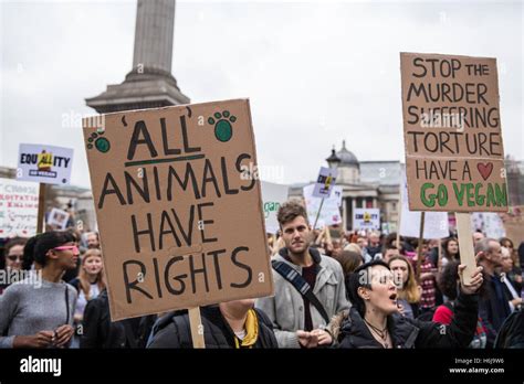 The Ethical Debates and Future Implications for Animal Rights