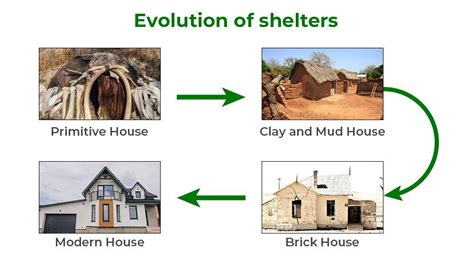 The Evolution of Canine Housing: From Basic Shelters to Luxury Mansions