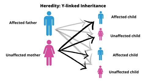 The Fascinating Importance of Inherited Riches from Beyond the Grave